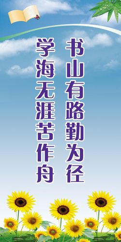 kaiyun官方网站:卫生间家装三角阀高度(卫生间三角阀高度)